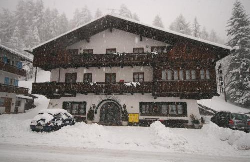 Cortina d'Ampezzo Hôtel | Hotel Al Larin