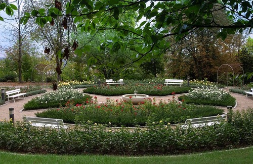 Bad Wimpfen Hôtel | Hotel am Rosengarten