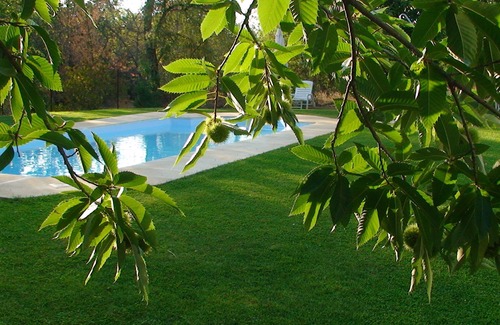 Aracena Appartement | Hotel Apartamento Rural Finca La Media Legua