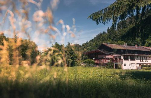 Graufthal Hôtel | Hotel Au Vieux Moulin