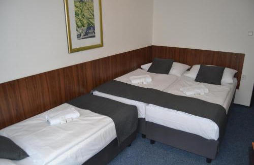 Branik Hôtel | Hotel Bohemians
