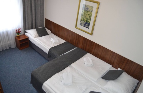 Branik Hôtel | Hotel Bohemians