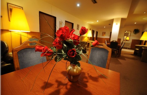 Branik Hôtel | Hotel Bohemians