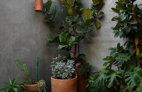 Guadalajara Hôtel | Hotel Boutique Sina