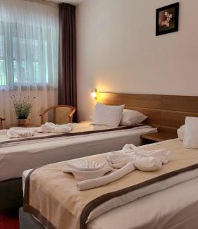 Cioplea Hôtel | Hotel Carpați