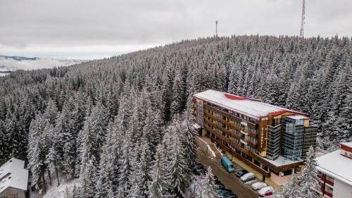 Paltinis Hôtel | Hotel Cindrel