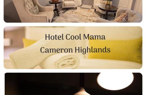 Brinchang Hôtel | Hotel COOL MAMA