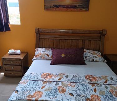 Bolivar Hôtel | Hotel Costa mar