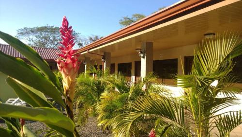 Tarcoles Hôtel | Hotel D'Lucia - Quebrada Ganado, Jaco, Costa Rica