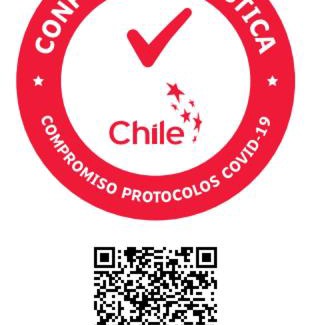 Concepcion Hôtel | Hotel D&V Concepción