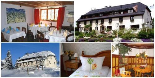 Hoechenschwand Hôtel | Hotel Das Landhaus