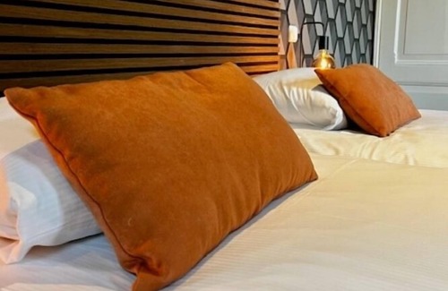 Terborg Hôtel | Hotel de Roode Leeuw