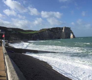 Etretat Hôtel | Hotel Des Falaises