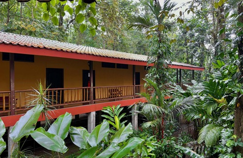 Puerto Viejo de Sarapiqui Hôtel | Hotel El Bambú