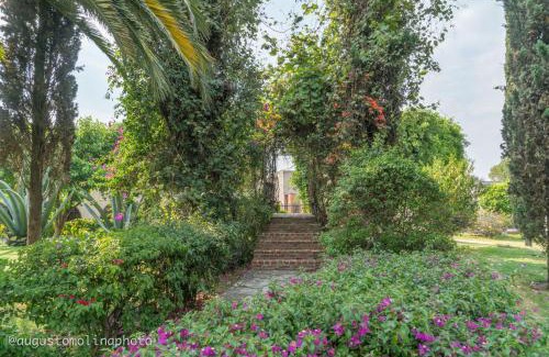 Cholula Hôtel | Hotel El Cristo