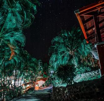 Montezuma Hôtel | Hotel El Jardin