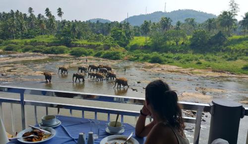 Pinnawala Hôtel | Hotel Elephant Park - NEW DEAL! Exclusive Offers on Pickups Available!