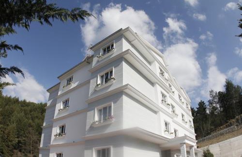 Petrele Hôtel | Hotel Elvis