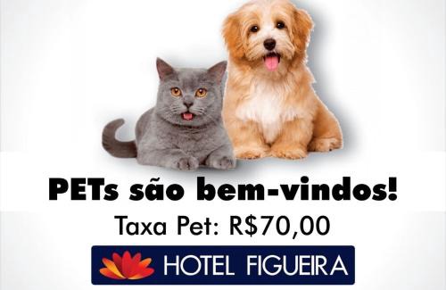Centro Hôtel | Hotel Figueira Palace