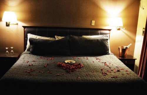 Irapuato Hôtel | Hotel Flamingo Kristal