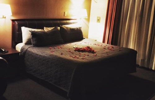 Irapuato Hôtel | Hotel Flamingo Kristal