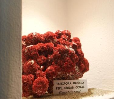 Torbole sul Garda Hôtel | Hotel Garnì Corallo