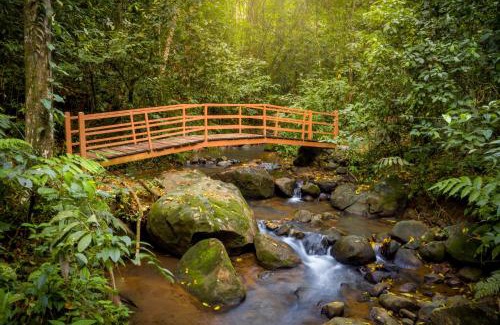 Penas Blancas Hôtel | Hotel Heliconias Nature Inn & Hot Springs