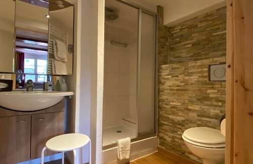 Menzenschwand-Hinterdorf Hôtel | Hotel Hirschen Menzenschwand
