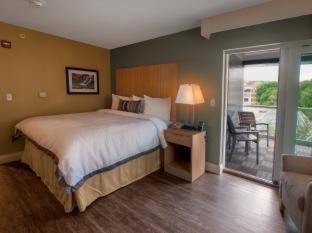 Ithaca Hôtel | Hotel Ithaca