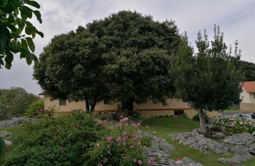 Celorio Hôtel | Hotel La Encina Celorio Llanes