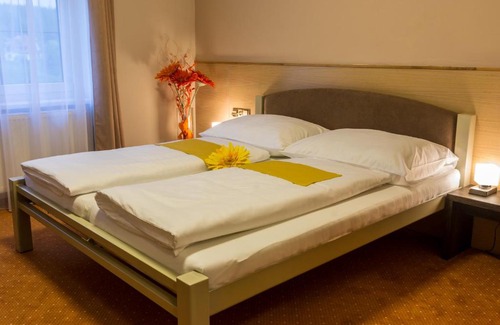 Plana nad Luznici Hôtel | Hotel Lužnice