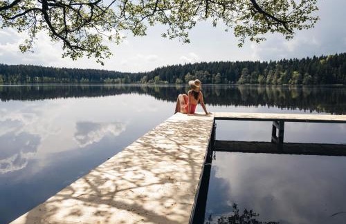 Frysava pod Zakovou horou Hôtel | Hotel Medlov