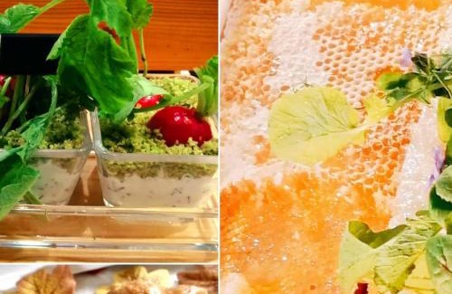 Opatow Hôtel | Hotel Miodowy Młyn