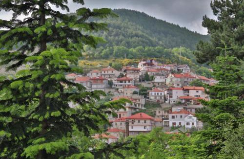 Servia Hôtel | Hotel Mitikas