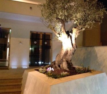 Cutrofiano Hôtel | Hotel Naitendì