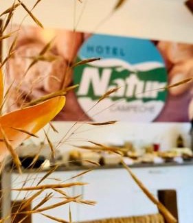 Campeche Hôtel | Hotel Natur Campeche