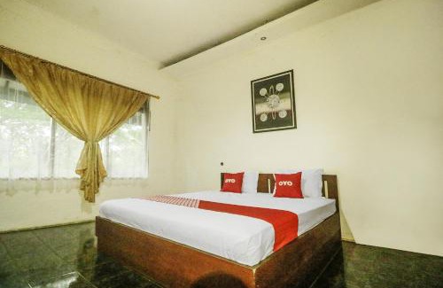 Palangkaraya Hôtel | Hotel O Nyi Rindang Near Puskesmas Jekan Raya
