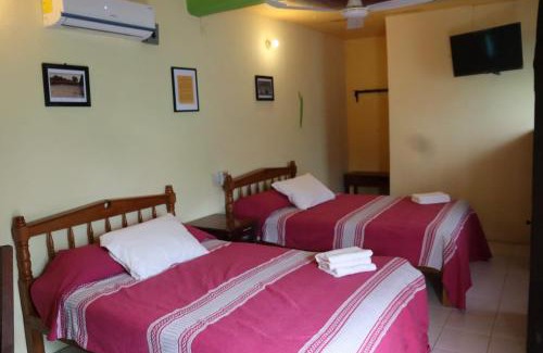 Santos Reyes Nopala Hôtel | HOTEL PALACIO CHATINO