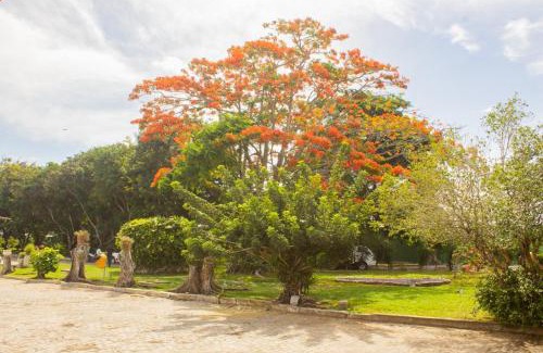 Parnamirim Hôtel | Hotel Parque do Sol
