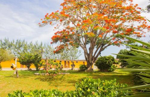 Parnamirim Hôtel | Hotel Parque do Sol