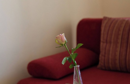 Horazdovice Hôtel | Hotel Prácheň