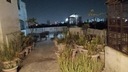 Paharganj Maison | Hotel Prince Palace (The Green)