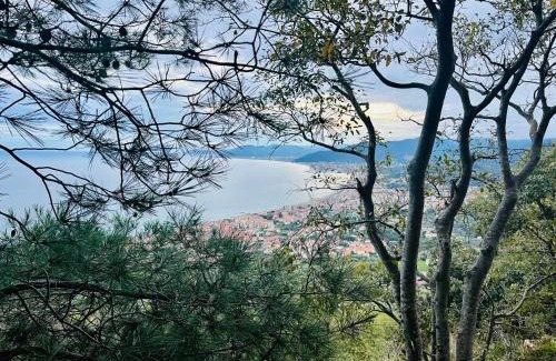 Pietra Ligure Hôtel | Hotel Principe