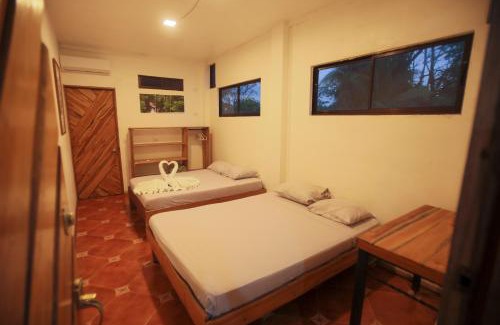 Tortuguero Maison | Hotel Pura Natura Beachfront Tortuguero