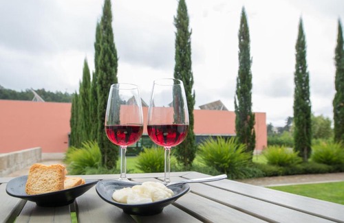 Mancelos Hôtel | Hotel Quinta da Cruz & SPA