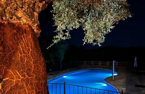 Montanchez Hôtel | Hotel Resort Hípico El Hinojal