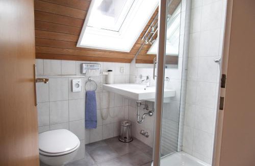 Waldshut-Tiengen Hôtel | Hotel & Restaurant Waldshuter Hof