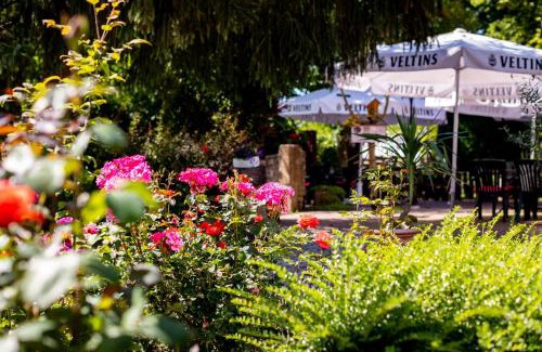 Anrode Maison | Hotel & Restaurant Lengefelder Warte