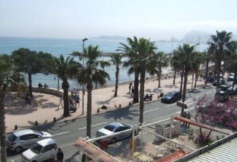 La Ciotat Hôtel | Hotel Restaurant Miramar L'orchidée
