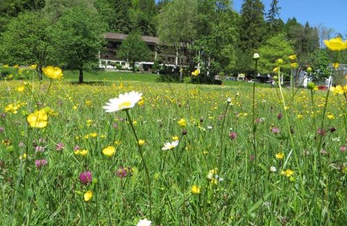 Bad Faulenbach Hôtel | Hotel Ruchti - Zeit für mich